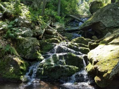 Swatara State Park