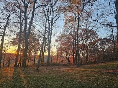 Susquehannock State Park