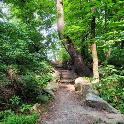 Susquehannock State Park