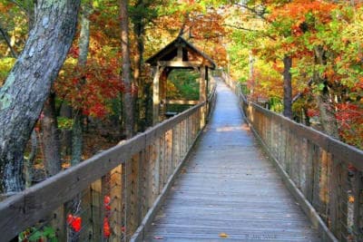 Talladega National Forest / Warden Station