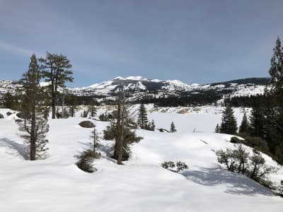 Tahoe National Forest
