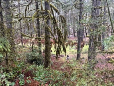Tahuya River Horse Camp