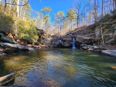 Talladega National Forest / Warden Station