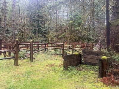 Tahuya River Horse Camp