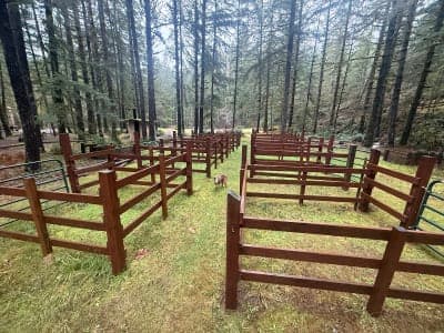 Tahuya River Horse Camp