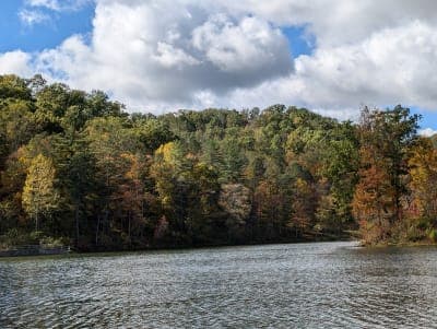 Tar Hollow State Forest
