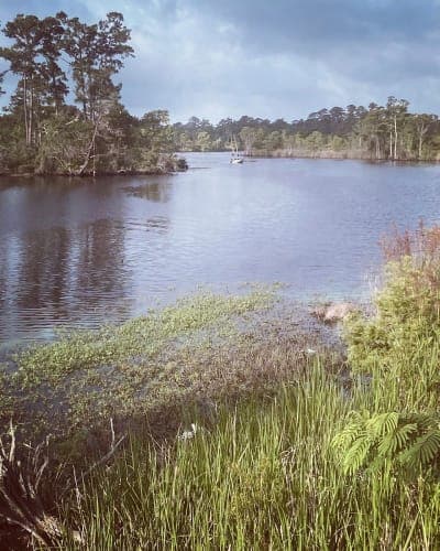 Tammany Trace Trail