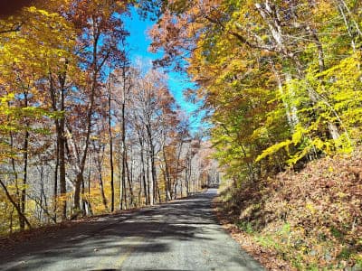Tar Hollow State Forest