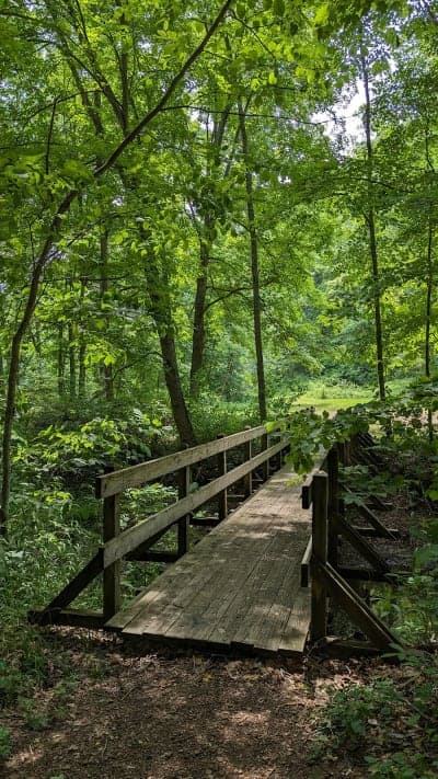 Tar Hollow State Forest