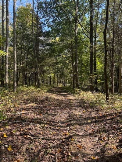 Taylorsville Lake Horse Campground