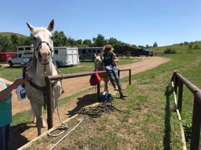 Theodore Roosevelt National Park – South Unit / Roundup Group Horse Camp