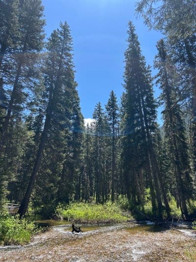 Teton Canyon Campground