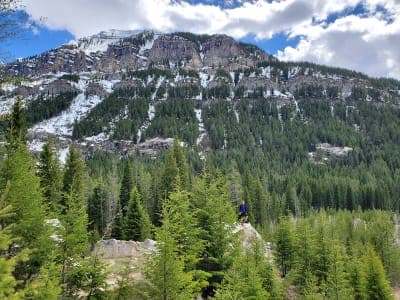 Teton Canyon Campground