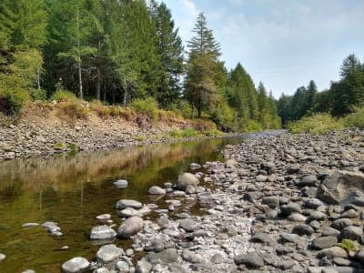 Tillamook State Forest