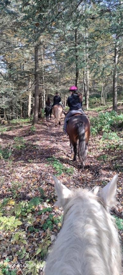 Tioga State Forest / Marsh Creek Equestrian Corridor