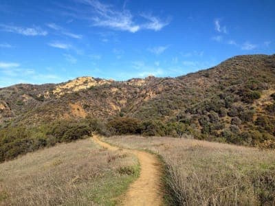Topanga State Park