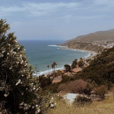 Topanga State Park