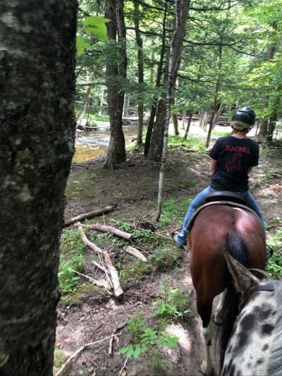 Topnotch Resort Equestrian Center