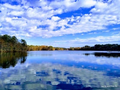 Trap Pond State Park