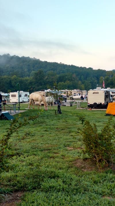 Trails of the Roger Pryor Pioneer Backcountry