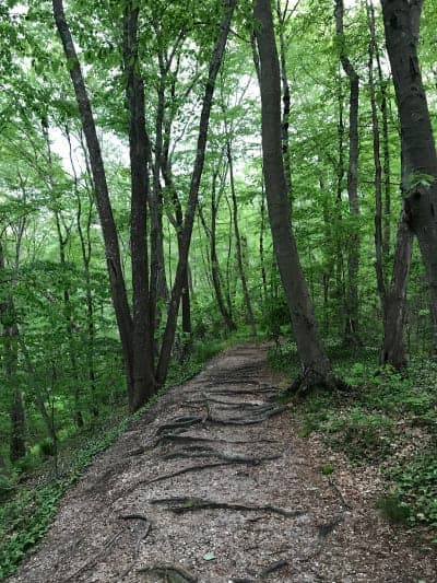 Trail View State Park