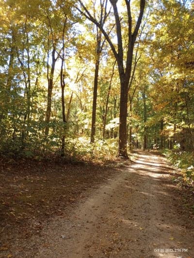 Trail of Tears State Forest