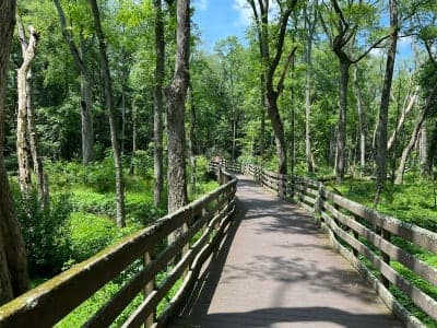 Trap Pond State Park