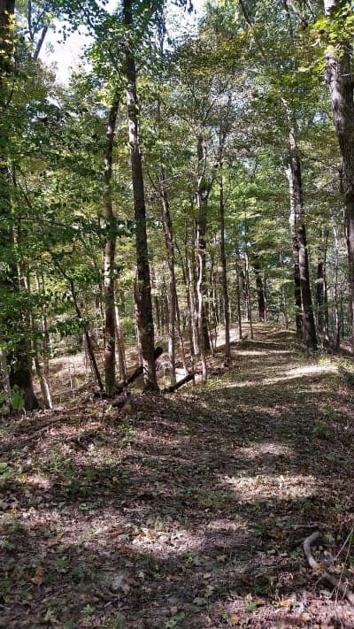Trail of Tears State Forest