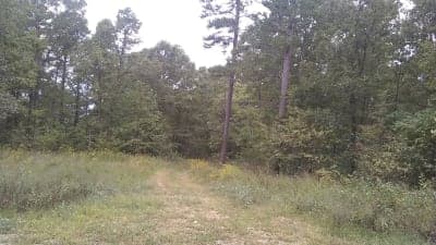 Trails of the Roger Pryor Pioneer Backcountry