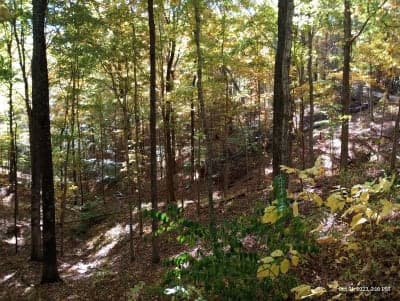 Trail of Tears State Forest