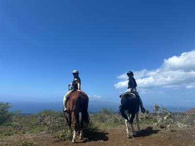 Triple L Ranch