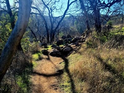 Trione-Annadel State Park