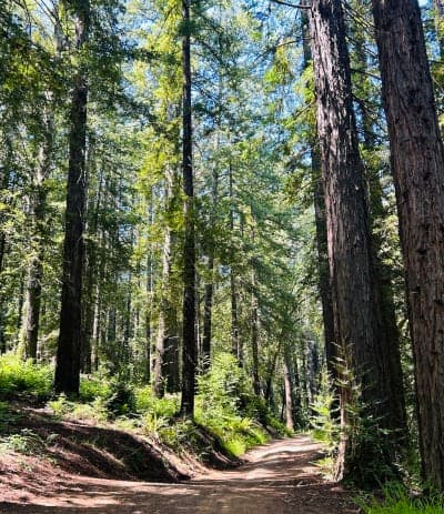 Trione-Annadel State Park