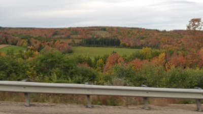 Turnpike State Forest