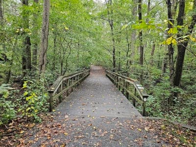 Tuckahoe State Park
