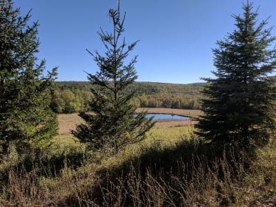 Turnpike State Forest
