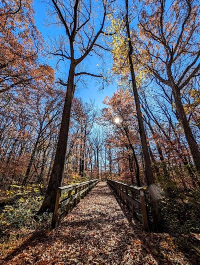 Tuckahoe State Park