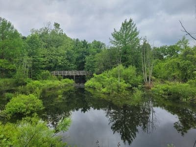 Tuckahoe State Park
