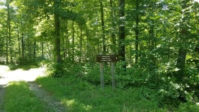 Tygarts State Forest