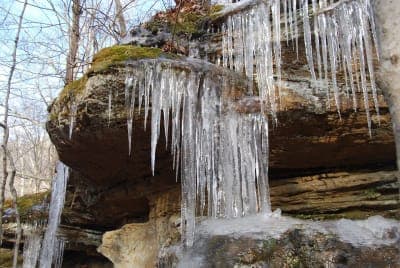 Tygarts State Forest