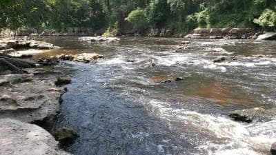 Twin Rivers State Forest