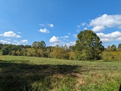 Tygarts State Forest