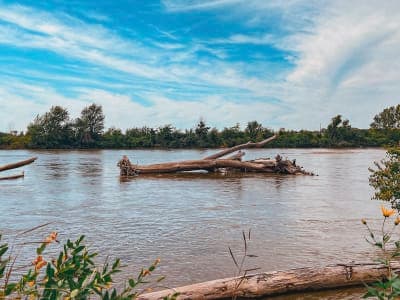 Two Rivers State Recreation Area
