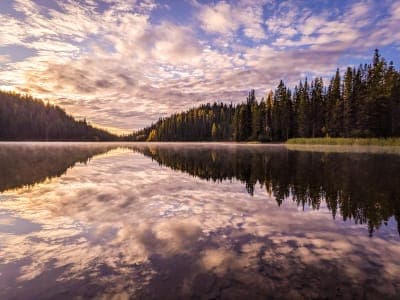 Umatilla National Forest