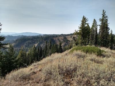 Umatilla National Forest
