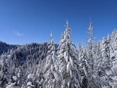 Umatilla National Forest
