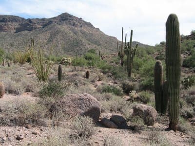 Usery Mountain Regional Park