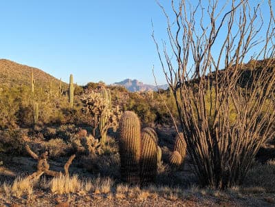 Usery Mountain Regional Park