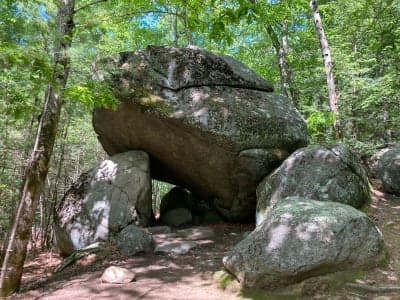 Upton State Forest