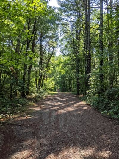 Upton State Forest
